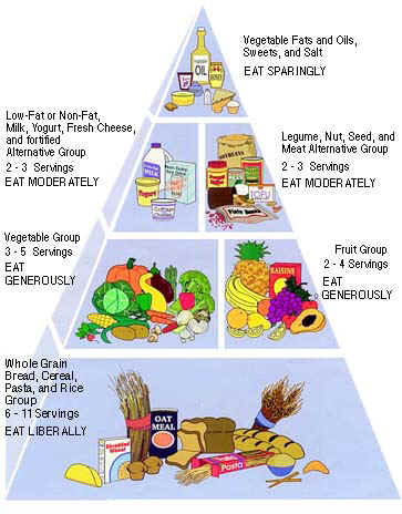 foodpyramid.jpg (44188 bytes)