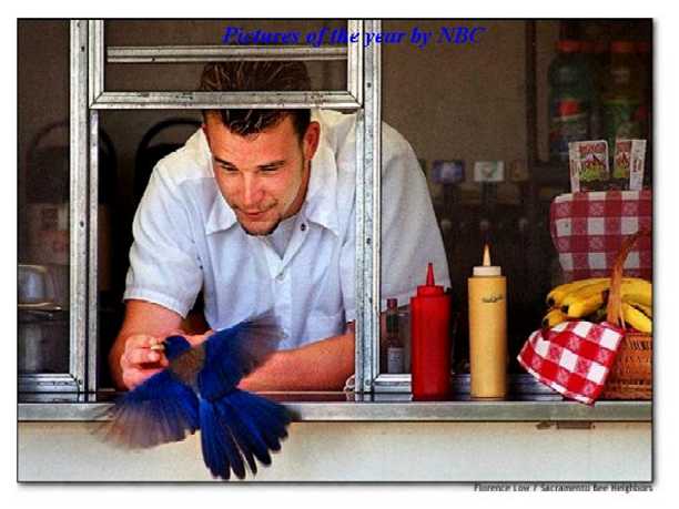 manfeedbirdwindow.jpg (33848 bytes)