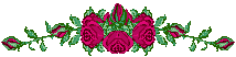 roseopening.gif (4560 bytes)