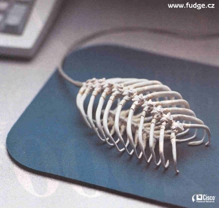 virusalertmouse.jpg (32782 bytes)